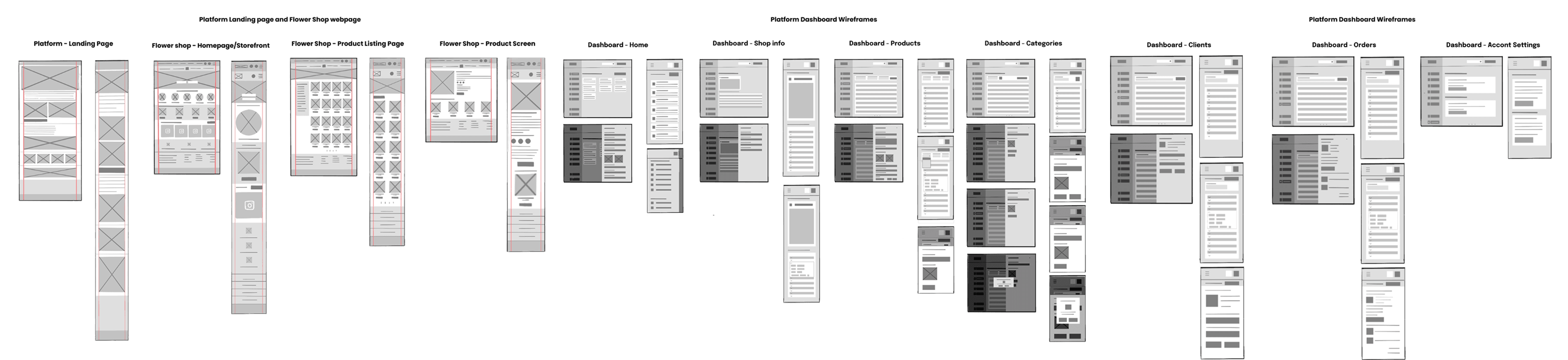 Platform Wireframe